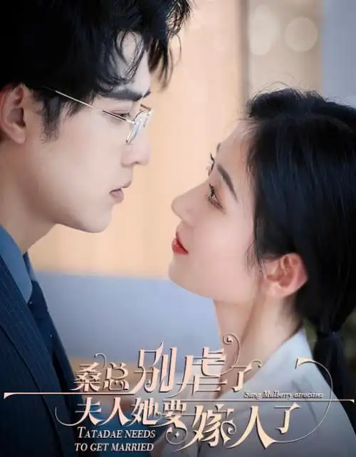 绝命毒师 电视剧 电影天堂在线免费观看